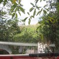 IMG_3328