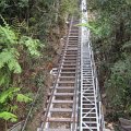 IMG_3334