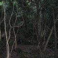 IMG_3336