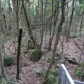 IMG_3337