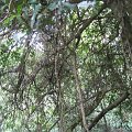 IMG_3340