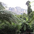 IMG_3341
