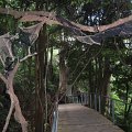 IMG_3343