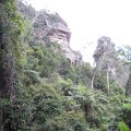 IMG_3344