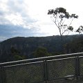 IMG_3348