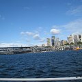IMG_3388