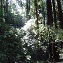 DSC01352