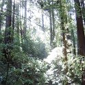 DSC01353
