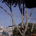 DSC01443
