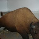 DSCN1840