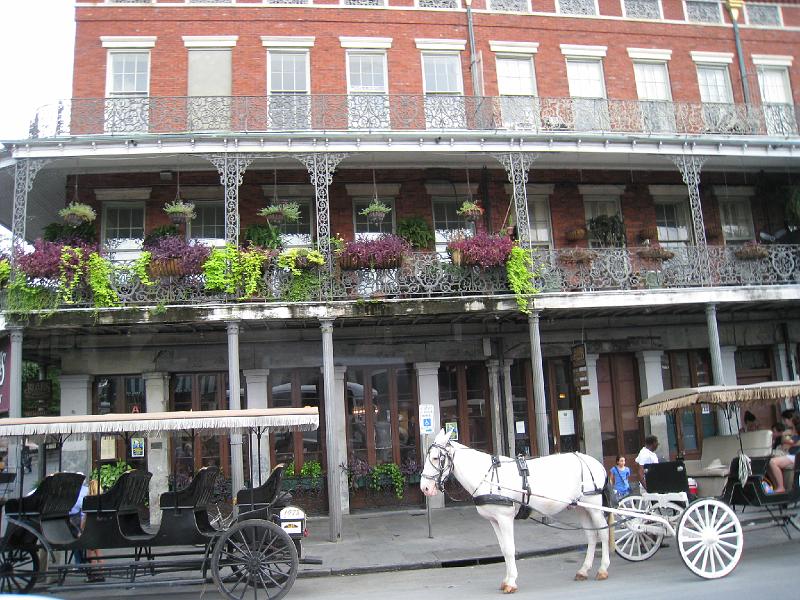 IMG_1523.JPG