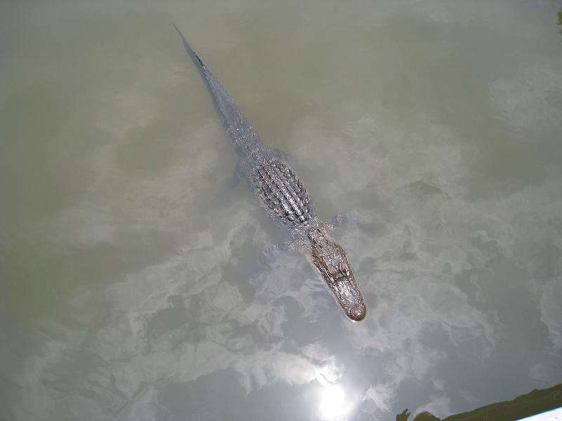 IMG_1662.JPG