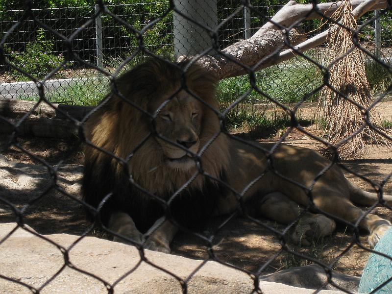 IMG_2349.JPG